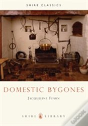 Capa do artigo Domestic Bygones
