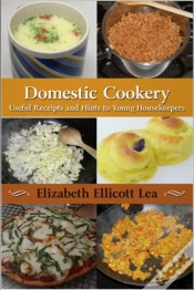 Capa do artigo Domestic Cookery