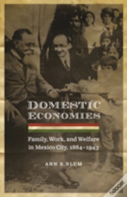 Capa do artigo Domestic Economies