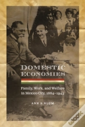 Capa do artigo Domestic Economies