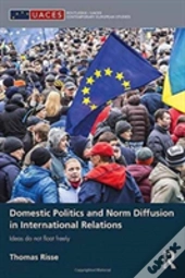 Domestic Politics And Norm Diffusion In International Relations
