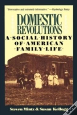 Capa do artigo Domestic Revolutions