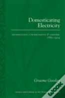 Domesticating Electricity