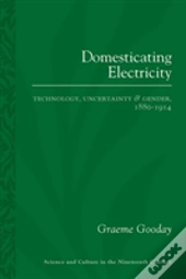 Domesticating Electricity