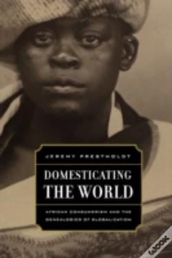Capa do artigo Domesticating The World