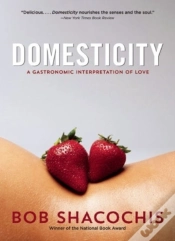Capa do artigo Domesticity