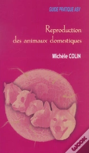 Capa do artigo Domestique Guide Asv