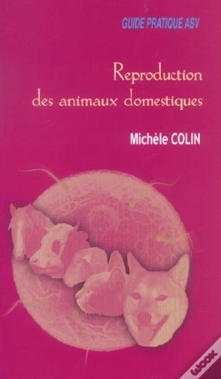 Capa do artigo Domestique Guide Asv