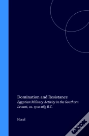 Capa do artigo Domination And Resistance