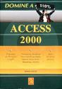 Domine a 110% Access 2000 - Preview