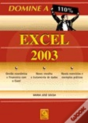 Capa do artigo Domine a 110% Excel 2003