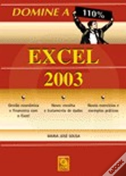 Capa do artigo Domine a 110% Excel 2003