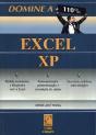 Domine a 110% - Excel Xp  - Preview