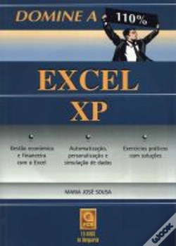 Capa do artigo Domine a 110% - Excel Xp 