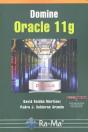 Domine Oracle 11g - Preview