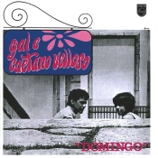 Capa do artigo Domingo - Vinil