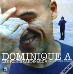 Capa do artigo Dominique A