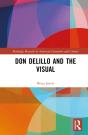 Don Delillo And The Visual - Preview