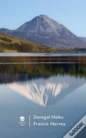Capa do artigo Donegal Haiku