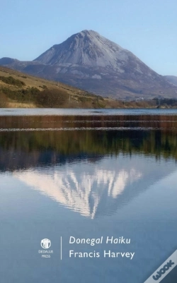 Capa do artigo Donegal Haiku