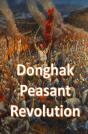 Donghak Peasant Revolution - Preview