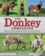 Capa do artigo Donkey Companion