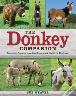 Capa do artigo Donkey Companion