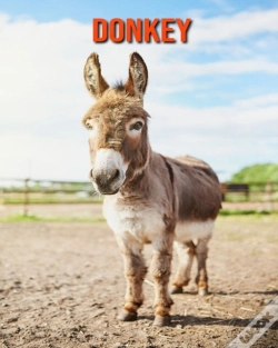 Capa do artigo Donkey