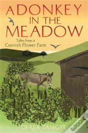 Capa do artigo Donkey In The Meadow