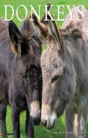 Donkeys 2027 Wall