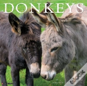 Capa do artigo Donkeys 2027 Wall