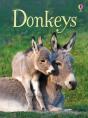 Donkeys - Preview