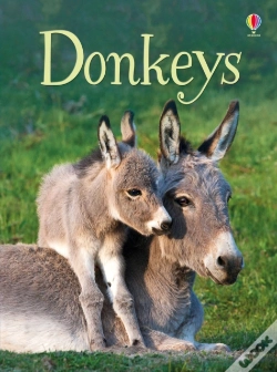 Capa do artigo Donkeys