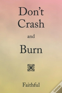 Capa do artigo Don'T Crash And Burn