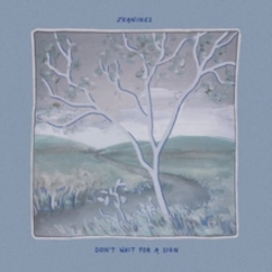 Capa do artigo Don't Wait for a Sign - CD