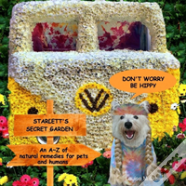 Don'T Worry Be Hippy