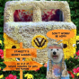 Don'T Worry Be Hippy - Preview