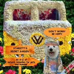 Capa do artigo Don'T Worry Be Hippy