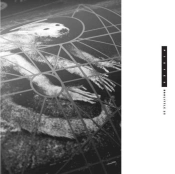 Capa do artigo Doolittle 25 - CD