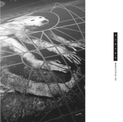 Capa do artigo Doolittle 25 - CD