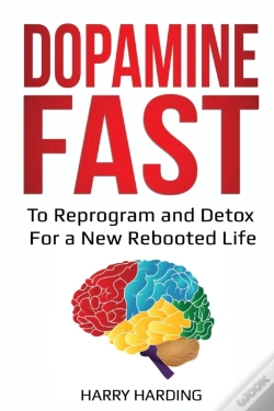 Capa do artigo Dopamine Fast