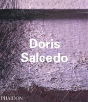 Doris Salcedo - Preview