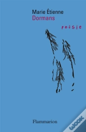 Capa do artigo Dormans Poesie