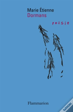 Capa do artigo Dormans Poesie