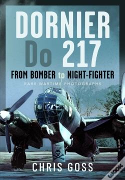 Capa do artigo Dornier Do 217