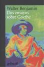 Dos Ensayos Sobre Goethe - Preview