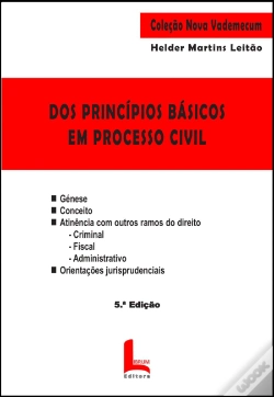 Capa do artigo Dos Princípios Básicos em Processo Civil