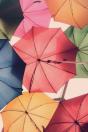 Dot Journal - Today - Preview