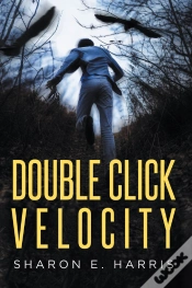 Capa do artigo Double Click Velocity