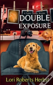 Capa do artigo Double Exposure